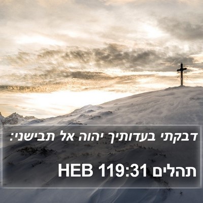 תהלים 119:31 HEB Bible Verse Image