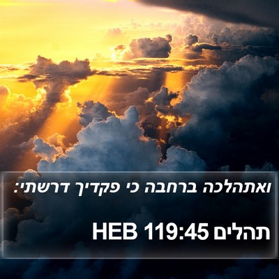 תהלים 119:45 HEB Bible Verse Image