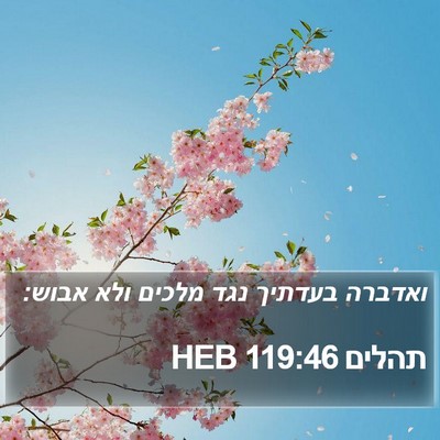 תהלים 119:46 HEB Bible Verse Image
