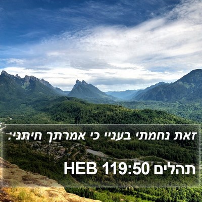 תהלים 119:50 HEB Bible Verse Image