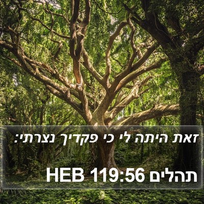 תהלים 119:56 HEB Bible Verse Image