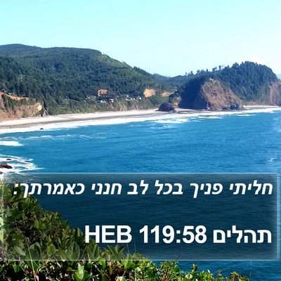 תהלים 119:58 HEB Bible Verse Image