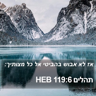תהלים 119:6 HEB Bible Verse Image