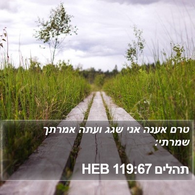 תהלים 119:67 HEB Bible Verse Image