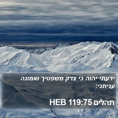 תהלים 119:75 HEB Bible Verse Image