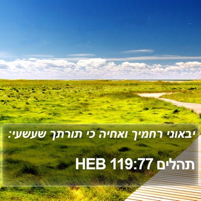 תהלים 119:77 HEB Bible Verse Image