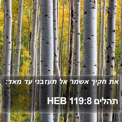 תהלים 119:8 HEB Bible Verse Image