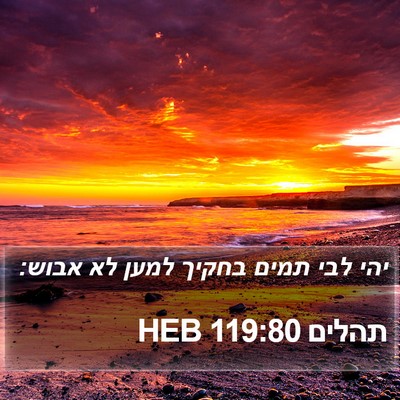 תהלים 119:80 HEB Bible Verse Image
