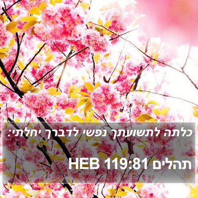 תהלים 119:81 HEB Bible Verse Image