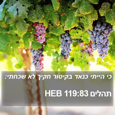 תהלים 119:83 HEB Bible Verse Image