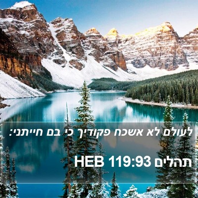 תהלים 119:93 HEB Bible Verse Image