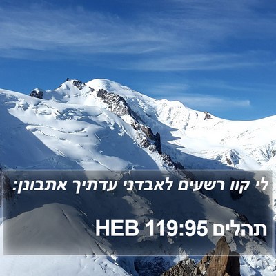 תהלים 119:95 HEB Bible Verse Image