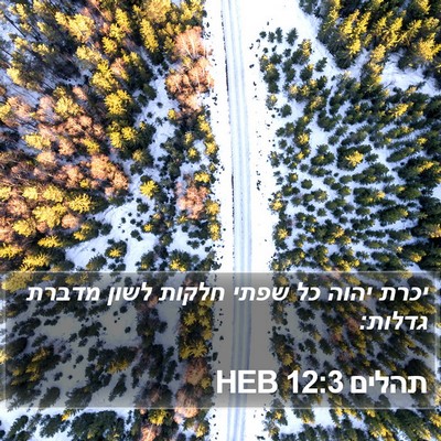 תהלים 12:3 HEB Bible Verse Image