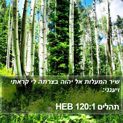 תהלים 120:1 HEB Bible Verse Image