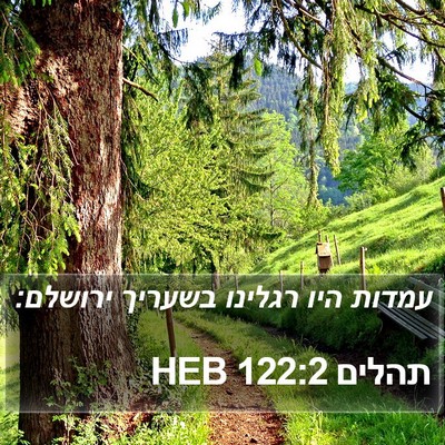 תהלים 122:2 HEB Bible Verse Image