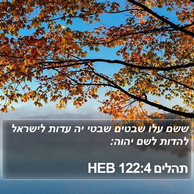 תהלים 122:4 HEB Bible Verse Image