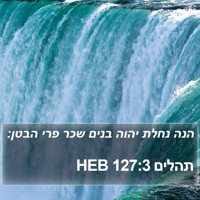 תהלים 127:3 HEB Bible Verse Image