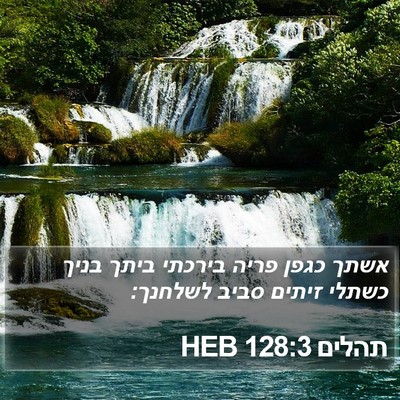 תהלים 128:3 HEB Bible Verse Image