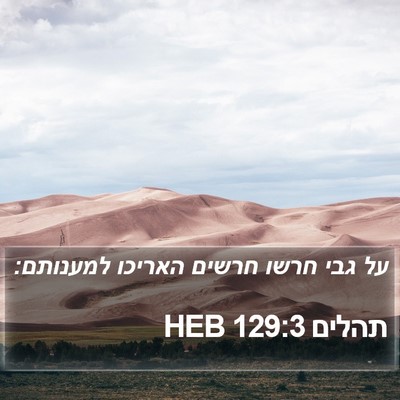 תהלים 129:3 HEB Bible Verse Image