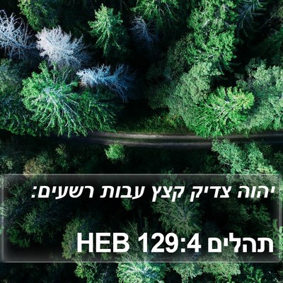 תהלים 129:4 HEB Bible Verse Image