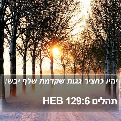 תהלים 129:6 HEB Bible Verse Image