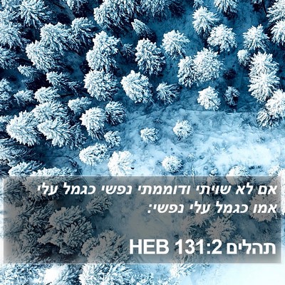תהלים 131:2 HEB Bible Verse Image