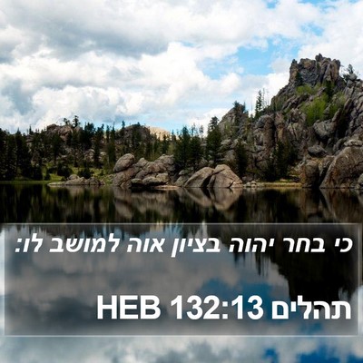 תהלים 132:13 HEB Bible Verse Image
