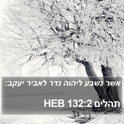 תהלים 132:2 HEB Bible Verse Image