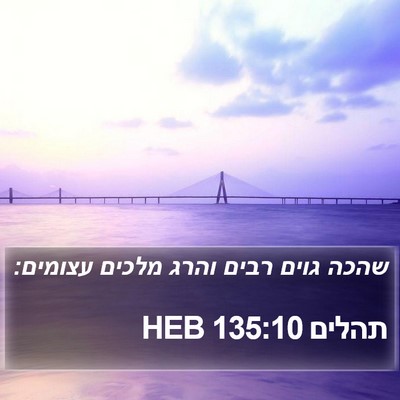 תהלים 135:10 HEB Bible Verse Image