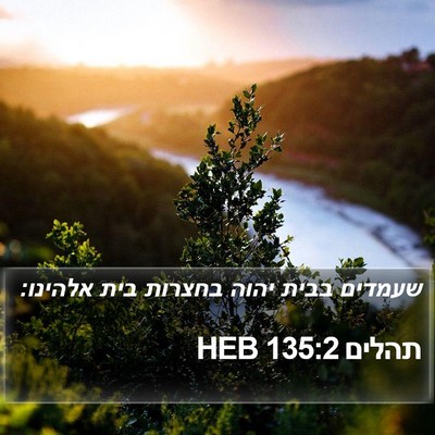 תהלים 135:2 HEB Bible Verse Image