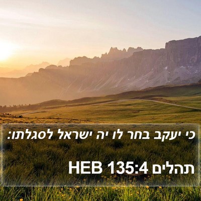 תהלים 135:4 HEB Bible Verse Image
