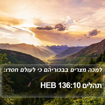תהלים 136:10 HEB Bible Verse Image