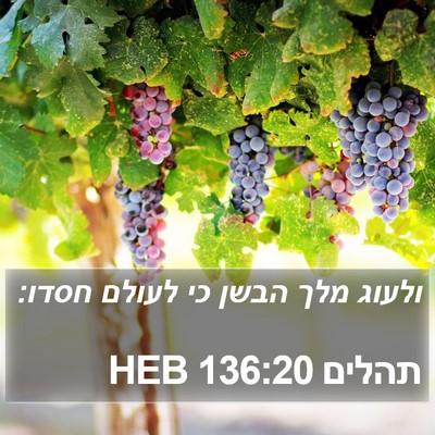 תהלים 136:20 HEB Bible Verse Image