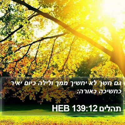 תהלים 139:12 HEB Bible Verse Image