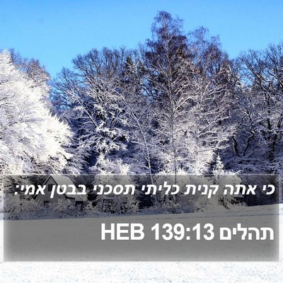 תהלים 139:13 HEB Bible Verse Image
