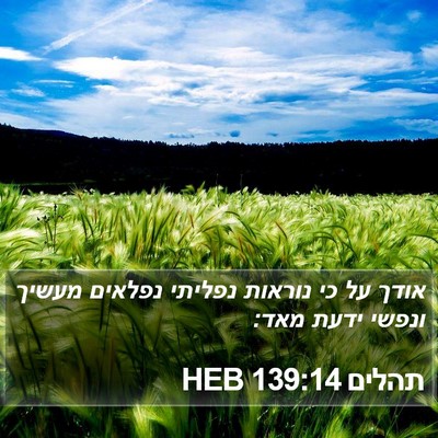 תהלים 139:14 HEB Bible Verse Image