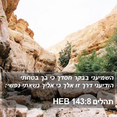 תהלים 143:8 HEB Bible Verse Image