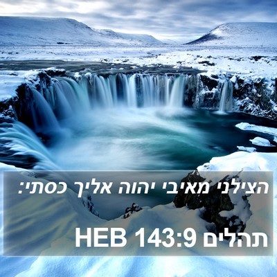 תהלים 143:9 HEB Bible Verse Image