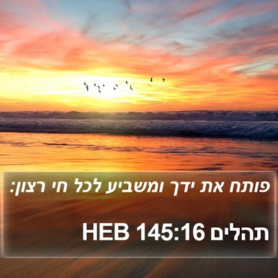 תהלים 145:16 HEB Bible Verse Image