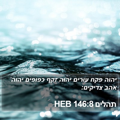 תהלים 146:8 HEB Bible Verse Image