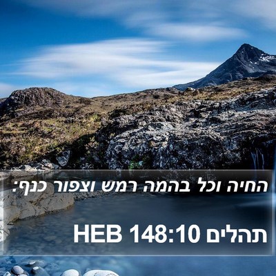תהלים 148:10 HEB Bible Verse Image