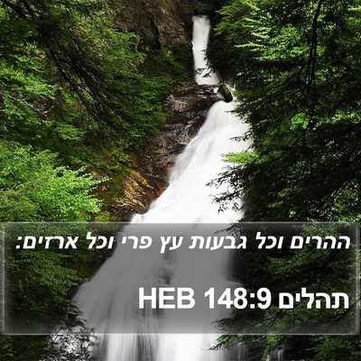 תהלים 148:9 HEB Bible Verse Image