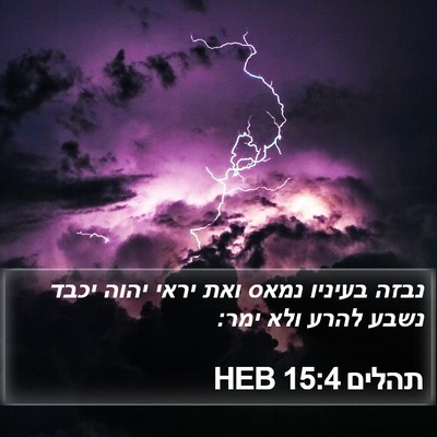 תהלים 15:4 HEB Bible Verse Image