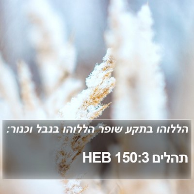 תהלים 150:3 HEB Bible Verse Image