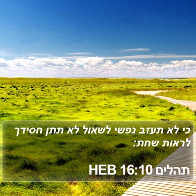 תהלים 16:10 HEB Bible Verse Image