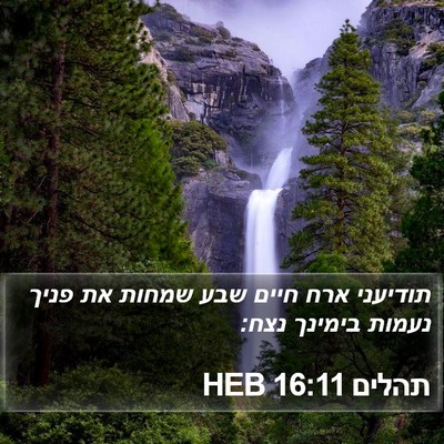תהלים 16:11 HEB Bible Verse Image