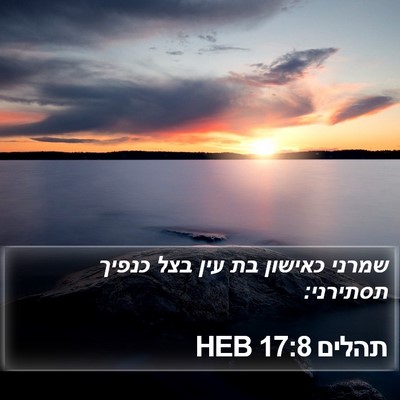 תהלים 17:8 HEB Bible Verse Image
