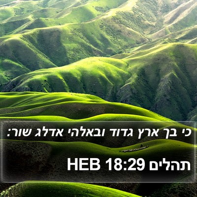 תהלים 18:29 HEB Bible Verse Image