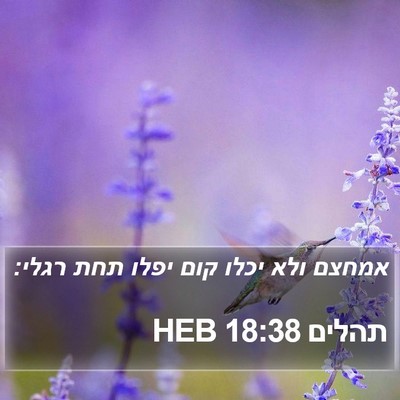 תהלים 18:38 HEB Bible Verse Image