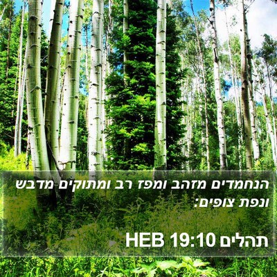תהלים 19:10 HEB Bible Verse Image